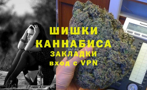 PSILOCYBIN Покачи
