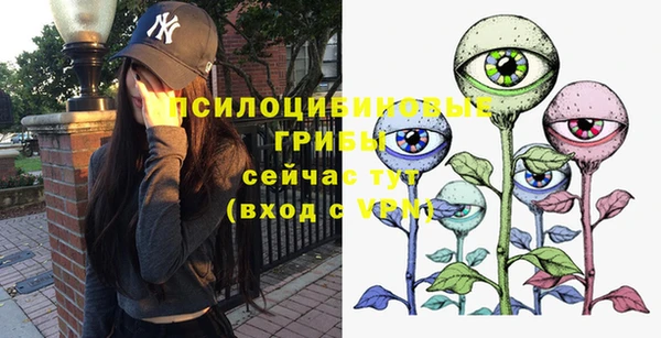 ешки Пестово