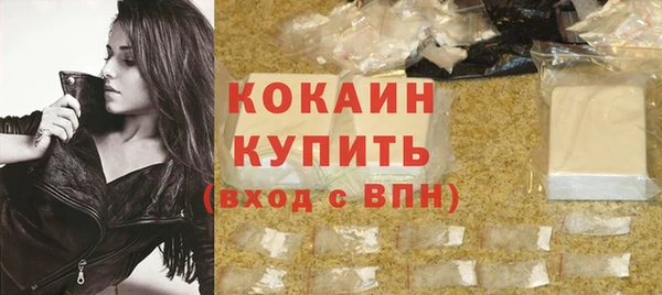 Альфа ПВП Пересвет