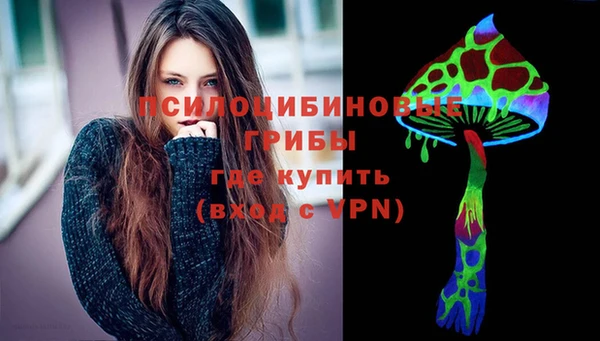 шишки Данков