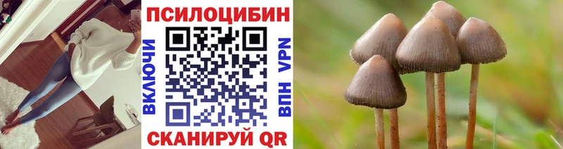 дарнет шоп  Ялуторовск  Псилоцибиновые грибы прущие грибы 