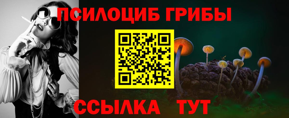 Псилоцибиновые грибы Cubensis  Вход с VPN  Псилоцибиновые грибы мухоморы  Ялуторовск 